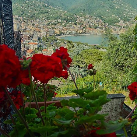 Villa Sunrise à Rapallo Extérieur photo