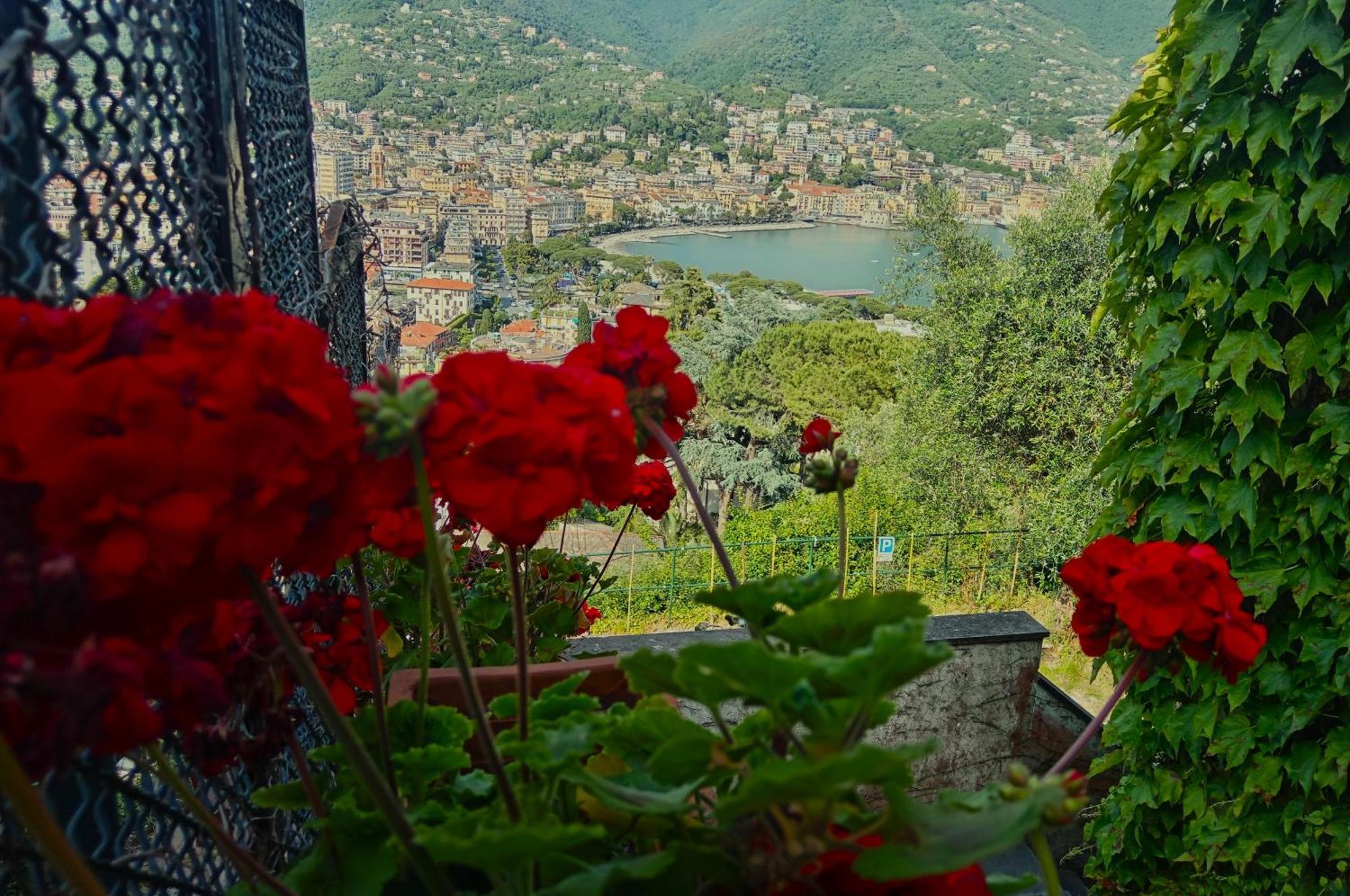 Villa Sunrise à Rapallo Extérieur photo